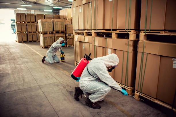Professional Pest Control in Gassville, AR
