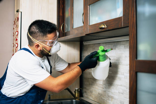 Best Emergency Pest Control  in Gassville, AR