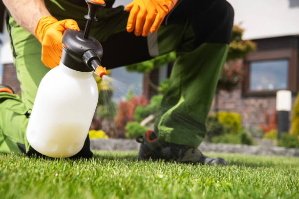 Best Pest Removal Services  in Gassville, AR