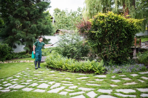 Best Wasp Removal Services  in Gassville, AR