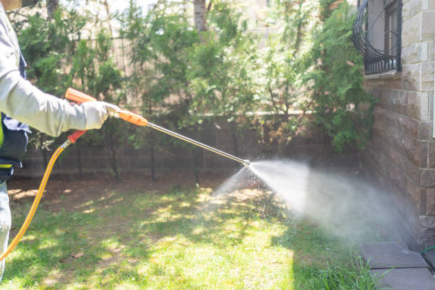 Best Pest Control Treatment  in Gassville, AR