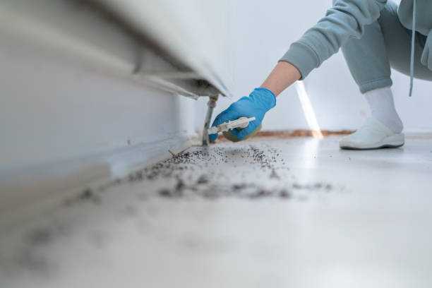 Best Pest Control for Businesses  in Gassville, AR