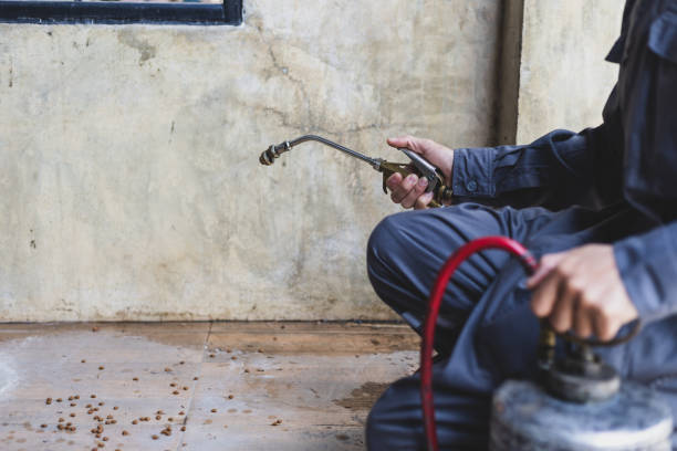 Best Local Pest Control Services  in Gassville, AR