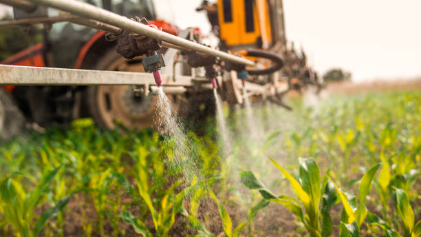 Best Wildlife Control Services  in Gassville, AR
