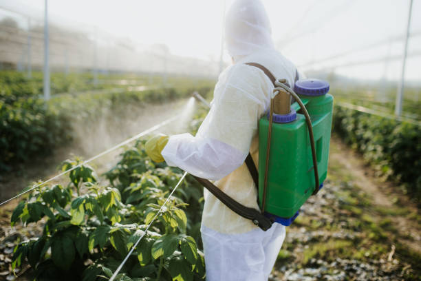 Best Pest Inspection Near Me  in Gassville, AR